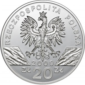 20 zl 2008, Jaszczurka Zielona, Ag925