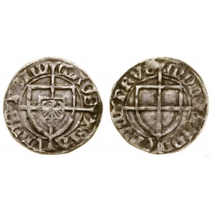 Zakon Krzyżacki, szeląg, 1426-1436, Gdańsk