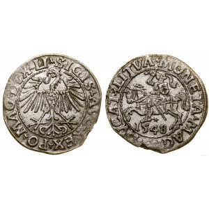 Polska, półgrosz, 1548, Wilno