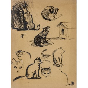 Ludwik MACIĄG (1920-2007), Szkice kota i psa w różnych ujęciach