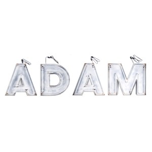 Neon DAMA/ADAM