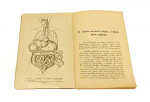 Joseph Goldbaum HOW TO SAVE Gastrointestinal Disease [1900].