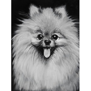 Marta Julia Piórko, Spike, 2017