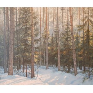 Wojciech Piekarski, Winter forest and spruce trees
