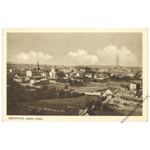 KRUSZWICA. General view, published by Jańczak