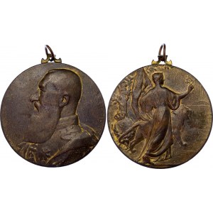 Belgium Commemorative Bronze Medal  25th Anniversary of the Death of Leopold II 1930