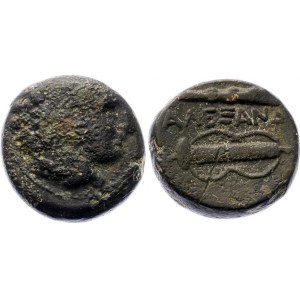Ancient Greece Alexander III The Great Dichalk 336 - 323 BC