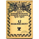 ZARYS Historji Wojennej Pułków Polskich 1918-1920.