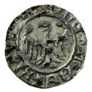 halerz, po 1438, Bytom, Eufemia lub synowie (1431-1452)