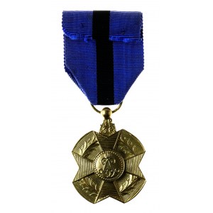 Belgia, Order Leopolda II za Zasługi Ojczyźnie, wersja złota
