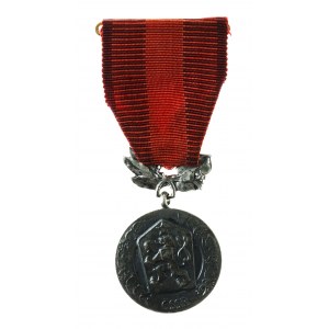 Czechosłowacja, medal za Ochronę Państwa, 1955, srebro