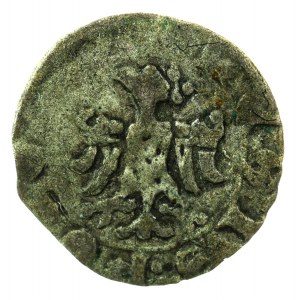 denar, Kraków, Kazimierz III Wielki 1333-1370