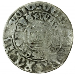 grosz praski, Władysław II Jagiellończyk 1479-1516