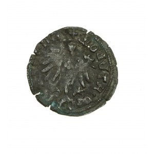WŁADYSŁAW WARNEŃCZYK (1434-1444) - Hungarian half-penny