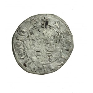 KAZIMIERZ JAGIELLOÑCZYK (1440-1492) b. rare crown half-penny with letters TM (R5)