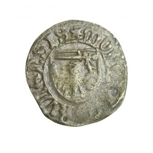 KAZIMIERZ JAGIELLOÑCZYK (1440-1492) Torun half-penny