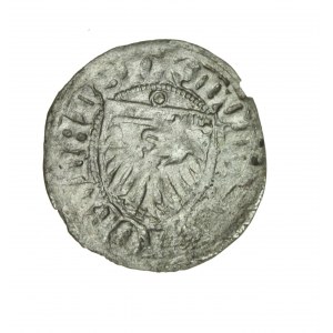 KAZIMIERZ JAGIELLOÑCZYK (1440-1492) Torun half-penny, rare variety