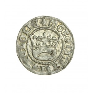 ALEKSANDER JAGIELLOŃCZYK (1501-1505) piękny półgrosz koronny