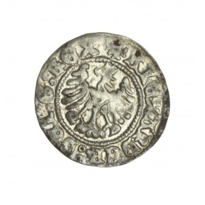 ALEXANDER JAGIELLOÑCZYK (1501-1505) schöner Kronenhalbpfennig