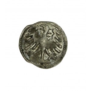 ALEXANDER JAGIELLOŃSKI (1501-1505) beautiful Lithuanian denarius, ren. A