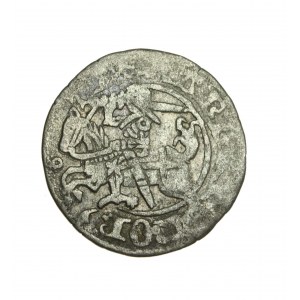 ALEXANDER JAGIELLOÑCZYK (1501-1505) Lithuanian Gothic-Renaissance half-penny R5