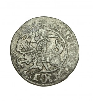 ALEKSANDER JAGIELLOŃCZYK (1501-1505) półgrosz litewski gotycko - renesansowy R5