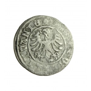 ALEXANDER JAGIELLOÑCZYK (1501-1505) Lithuanian Gothic-Renaissance half-penny R5