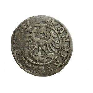 ZYGMUNT I STARY (1506-1548) półgrosz koronny niedatowany, z błędem