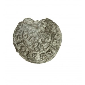 ZYGMUNT I STARY (1506-1548) ternar koronny, najrzadszy rok 1546 R5