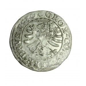 ZYGMUNT I. DER ALTE (1506-1548) Preußischer Pfennig 1530, fein, R