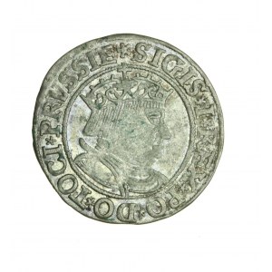 ZYGMUNT I THE OLD (1506-1548) Prussian penny 1534, beautiful