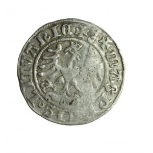 ZYGMUNT I STARY (1506-1548) półgrosz litewski 1509 z pochwą do miecza; w pogonii, rzadkie