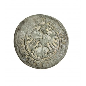 ZYGMUNT I. DER ALTE (1506-1548) Litauischer Halbpfennig vollständig datiert 1513, schön R4
