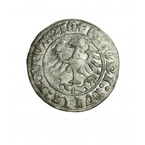 ZYGMUNT I DER ALTE (1506-1548) Litauischer Halbpfennig datiert (15) 1Z, sehr schön