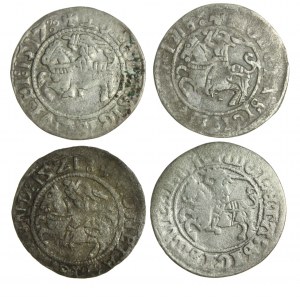 ZYGMUNT I. DER ALTE (1506-1548) 4 litauische Halbpfennige von 1510-1521