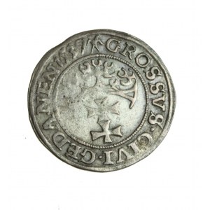 ZYGMUNT I THE OLD (1506-1548) Gdansk penny 1539