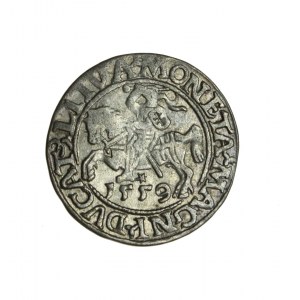 ZYGMUNT II AUGUST (1544-1572) półgrosz litewski 1559 R1