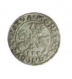 ZYGMUNT II AUGUST (1544-1572) półgrosz litewski 1555 R1