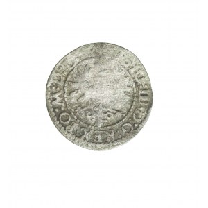 ZYGMUNT III WAZA (1587-1632) rzadki szeląg litewski, Wilno 1623 R, R4