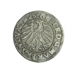 PRUSKY Fiefdom, Albrecht Hohenzollern, penny 1543