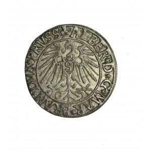 PRÄSES DER LÄNGE, Albrecht Hohenzollern, Pfennig 1547, selten R2
