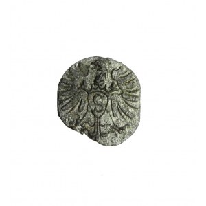 PRUSCEPLE OF LENSE, Albrecht Frederick, denarius (15)-71, very rare R4