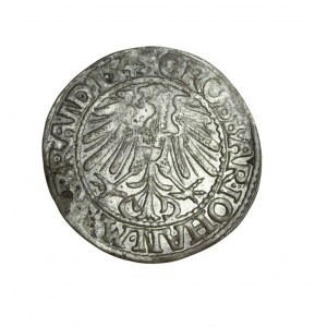 SILESIA, KS. KROŚNIEŃSKIE, Jan Krosno, penny 1545, rare