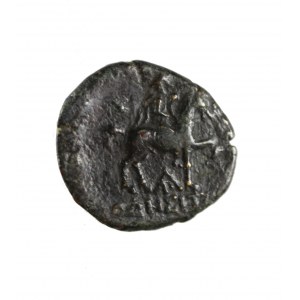 TRACY, ODESSOS (II PNE) - Bronze AE18