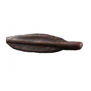 TRACJA, OLBIA - najstarsze płacidła z V p.n.e. rzadki typ strzała