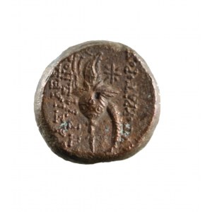 KÖNIGREICH VON SELEUZYDEN, Usurpator TRYPHON, seltene Bronze AE 18