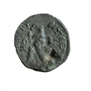 KRÓLESTWO PTOLEMEUSZY, Ptolemeusz VIII, brąz AE 20