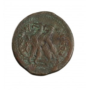 KÖNIGREICH PTOLEMEUS, Ptolemaios VI, schöne große Bronze