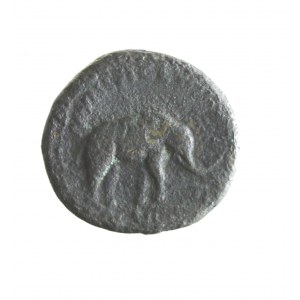 ROME, ANTONINUS PIUS - a rare ace with an elephant