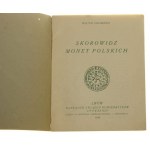 Skorowidz monet polskich Wiktor Chomiński [1929]